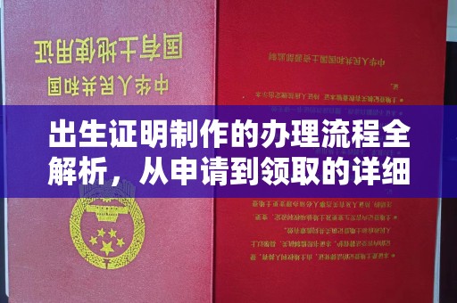 潍城出生证明制作的办理流程全解析，从申请到领取的详细指南