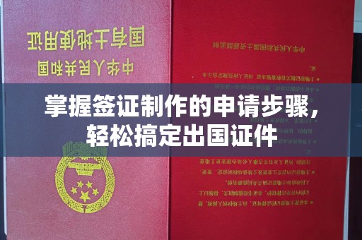 潍城掌握签证制作的申请步骤，轻松搞定出国证件