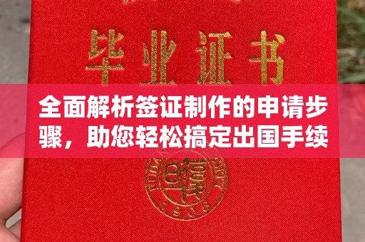 潍城全面解析签证制作的申请步骤，助您轻松搞定出国手续