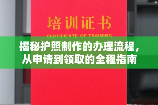 潍城揭秘护照制作的办理流程，从申请到领取的全程指南