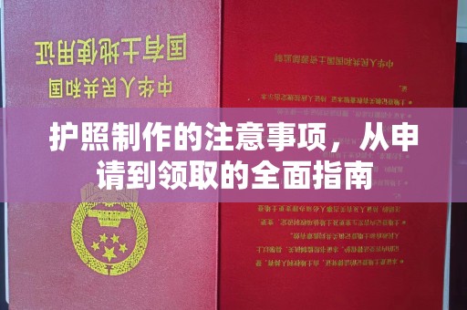潍城护照制作的注意事项，从申请到领取的全面指南